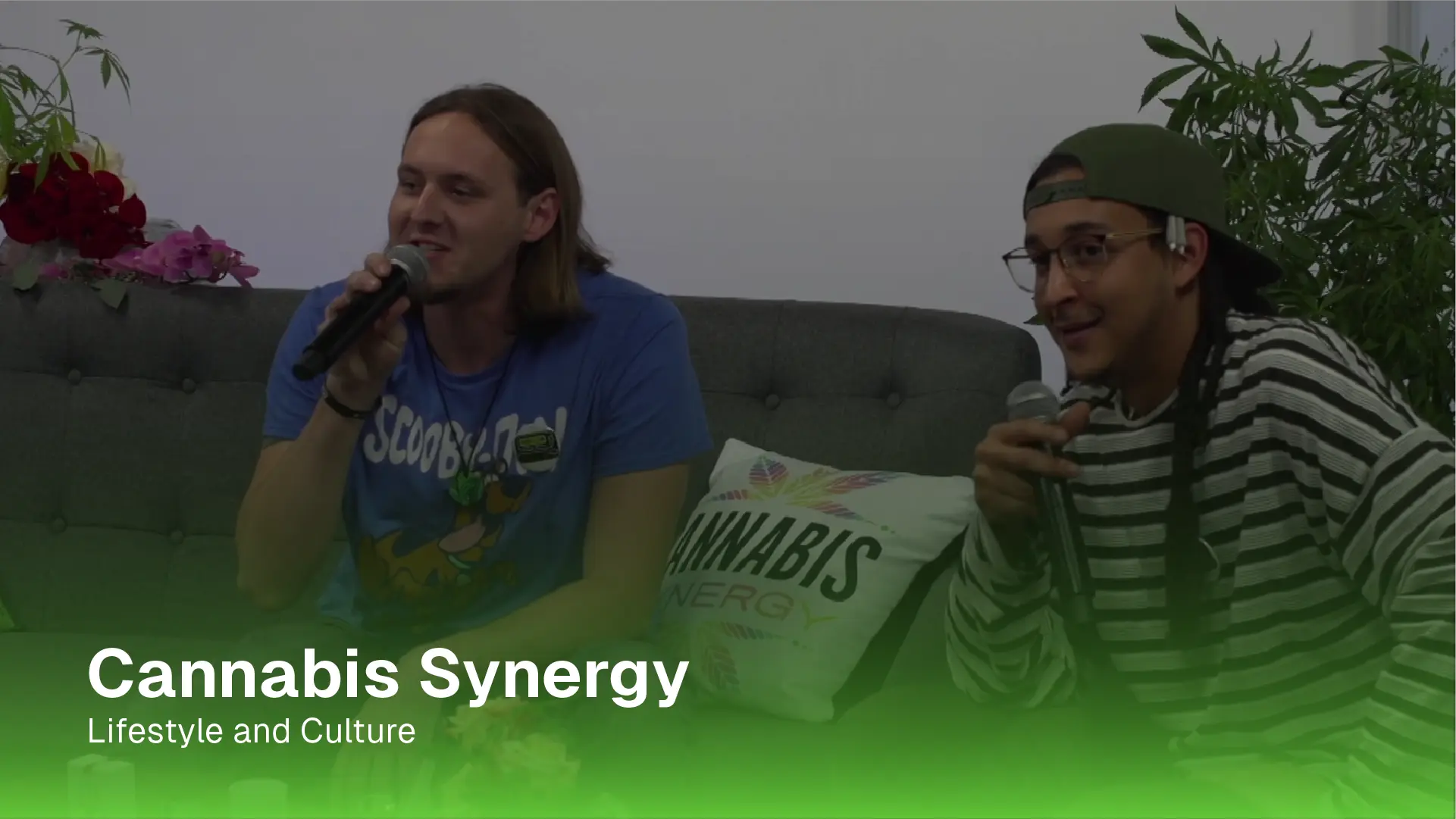 Cannabis Synergy Thumbnail