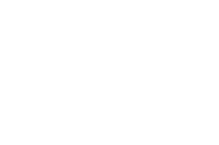 OFFICIAL SELECTION - NewFilmmakers NY - 2024